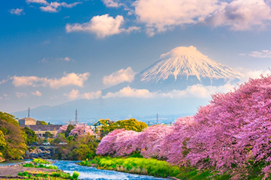 Super Japón