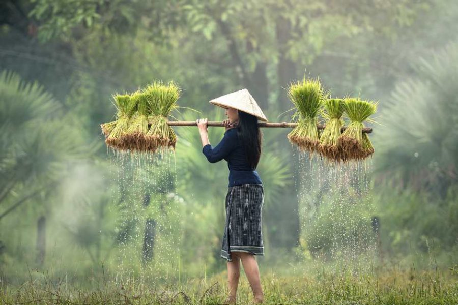 Vietnam y Camboya Express