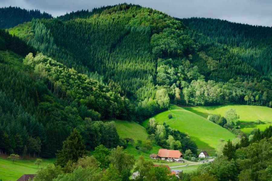 Suiza y Selva Negra