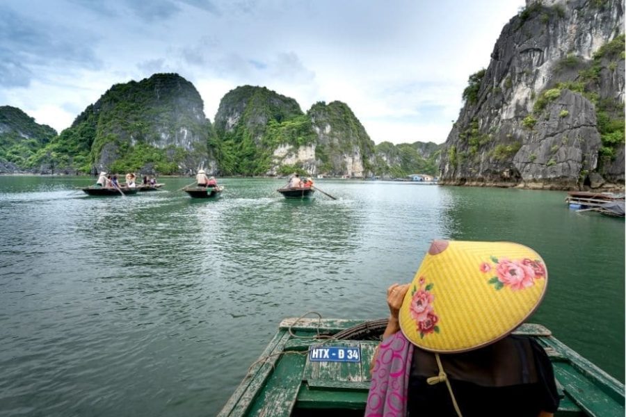 Raíces de Vietnam