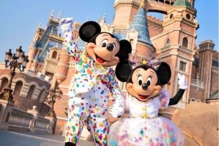Viaje a Disney 5 dias